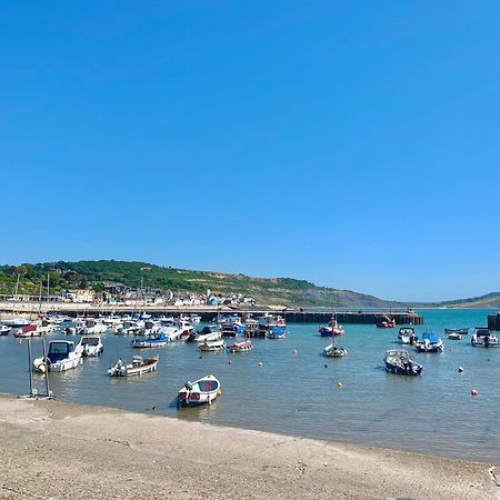 Nettle Bank Bed & Breakfast Lyme Regis Dış mekan fotoğraf