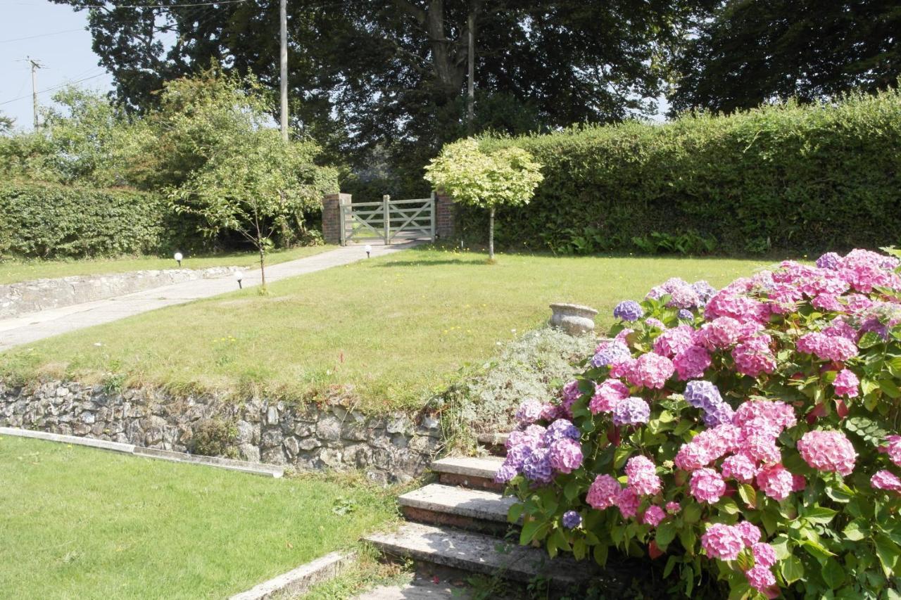 Nettle Bank Bed & Breakfast Lyme Regis Dış mekan fotoğraf