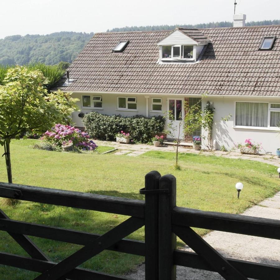 Nettle Bank Bed & Breakfast Lyme Regis Dış mekan fotoğraf