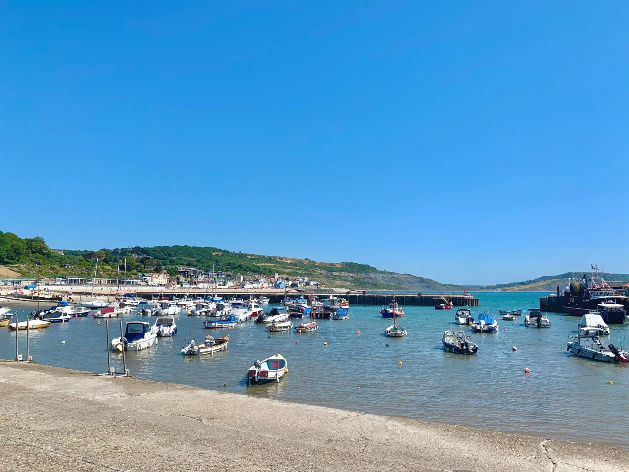 Nettle Bank Bed & Breakfast Lyme Regis Dış mekan fotoğraf