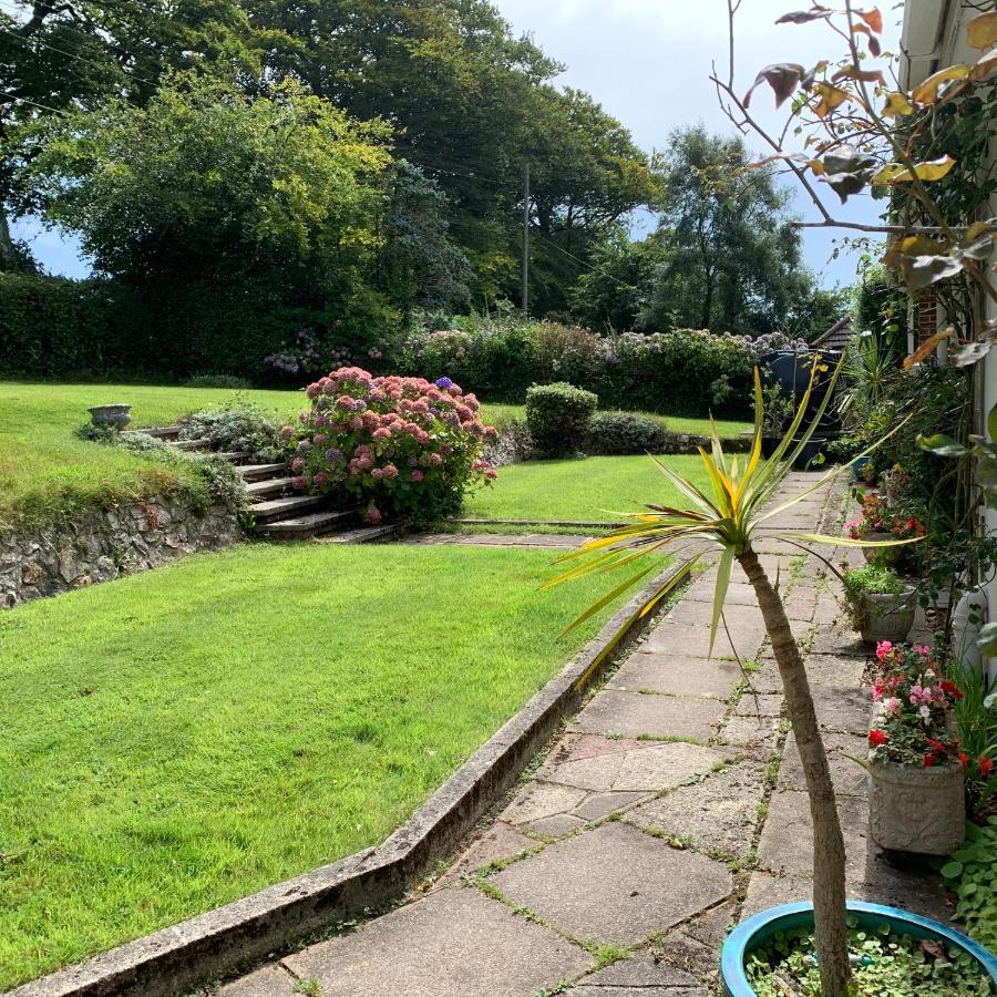 Nettle Bank Bed & Breakfast Lyme Regis Dış mekan fotoğraf